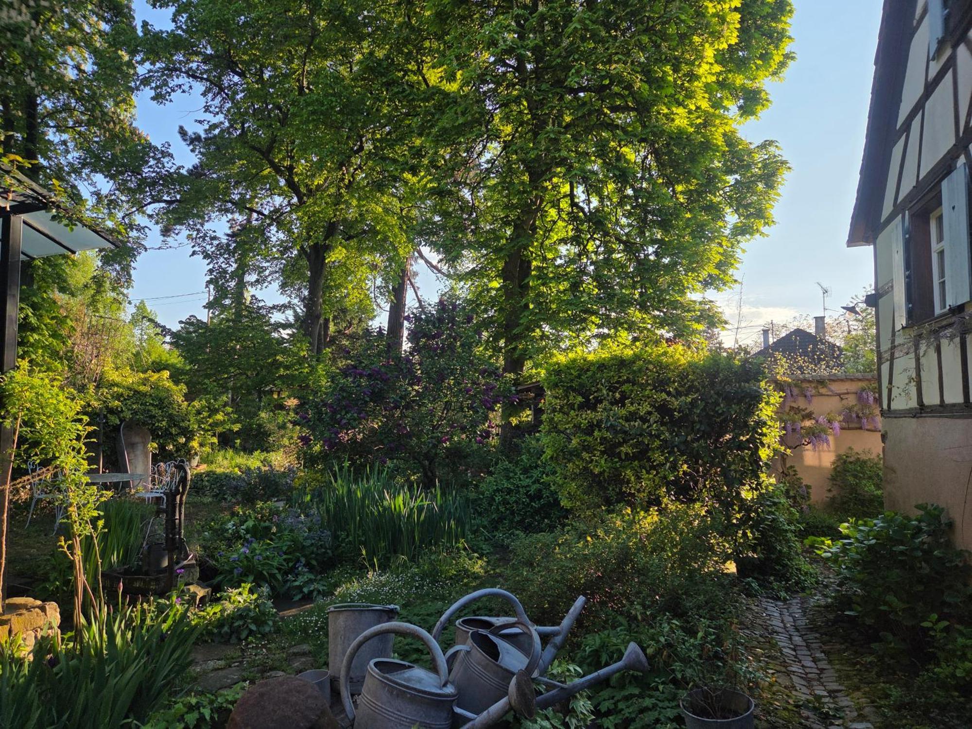 Le Temps Des Cigognes Barr Exterior foto
