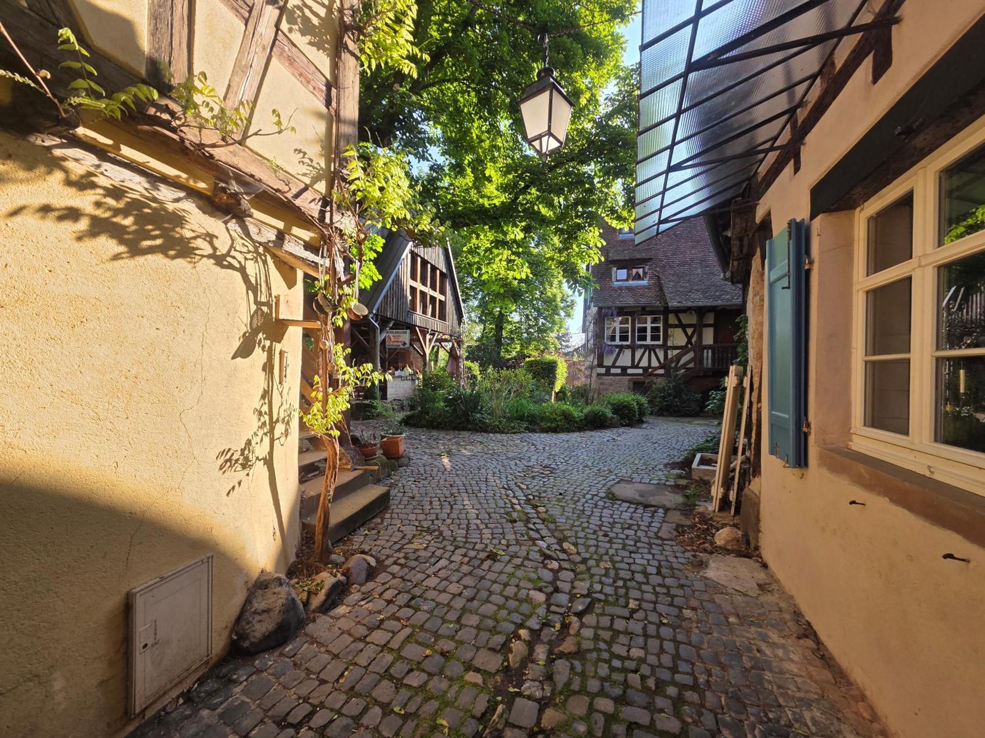Le Temps Des Cigognes Barr Exterior foto