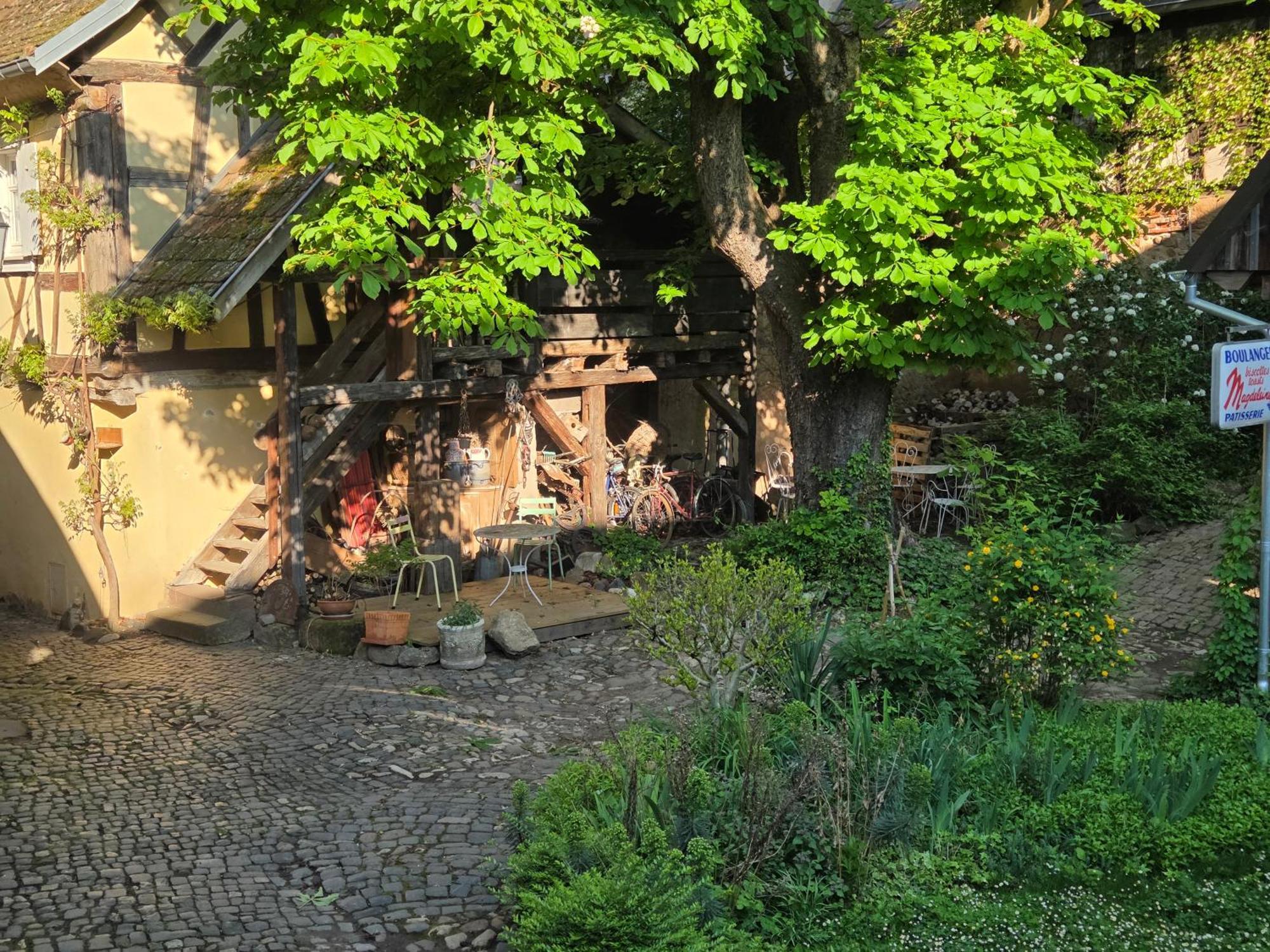 Le Temps Des Cigognes Barr Exterior foto