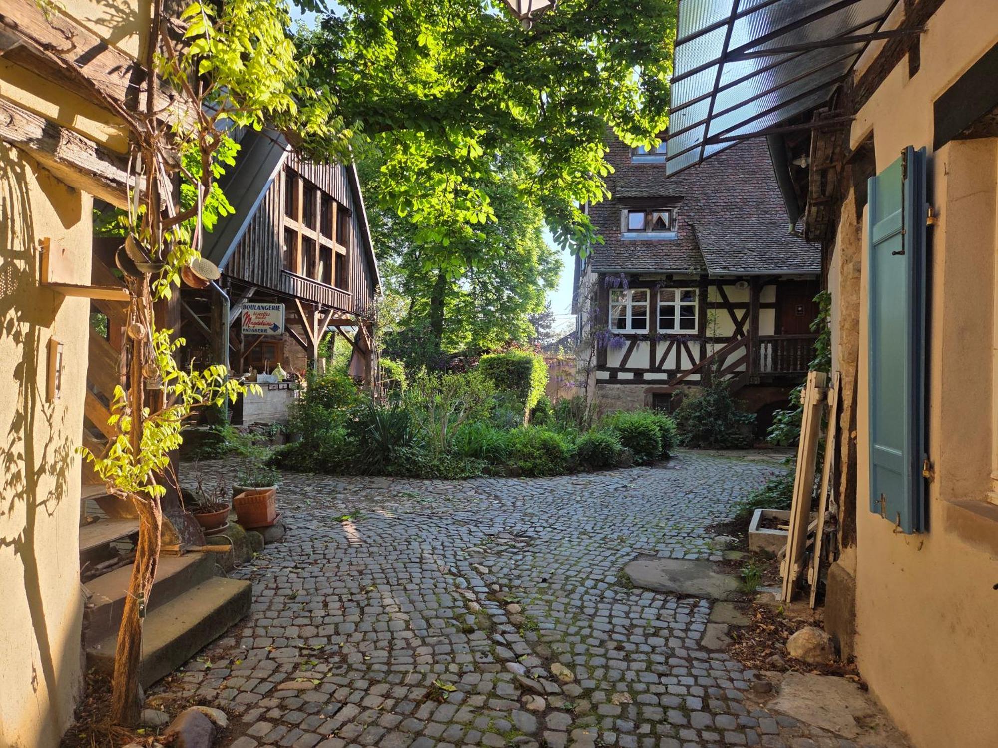 Le Temps Des Cigognes Barr Exterior foto