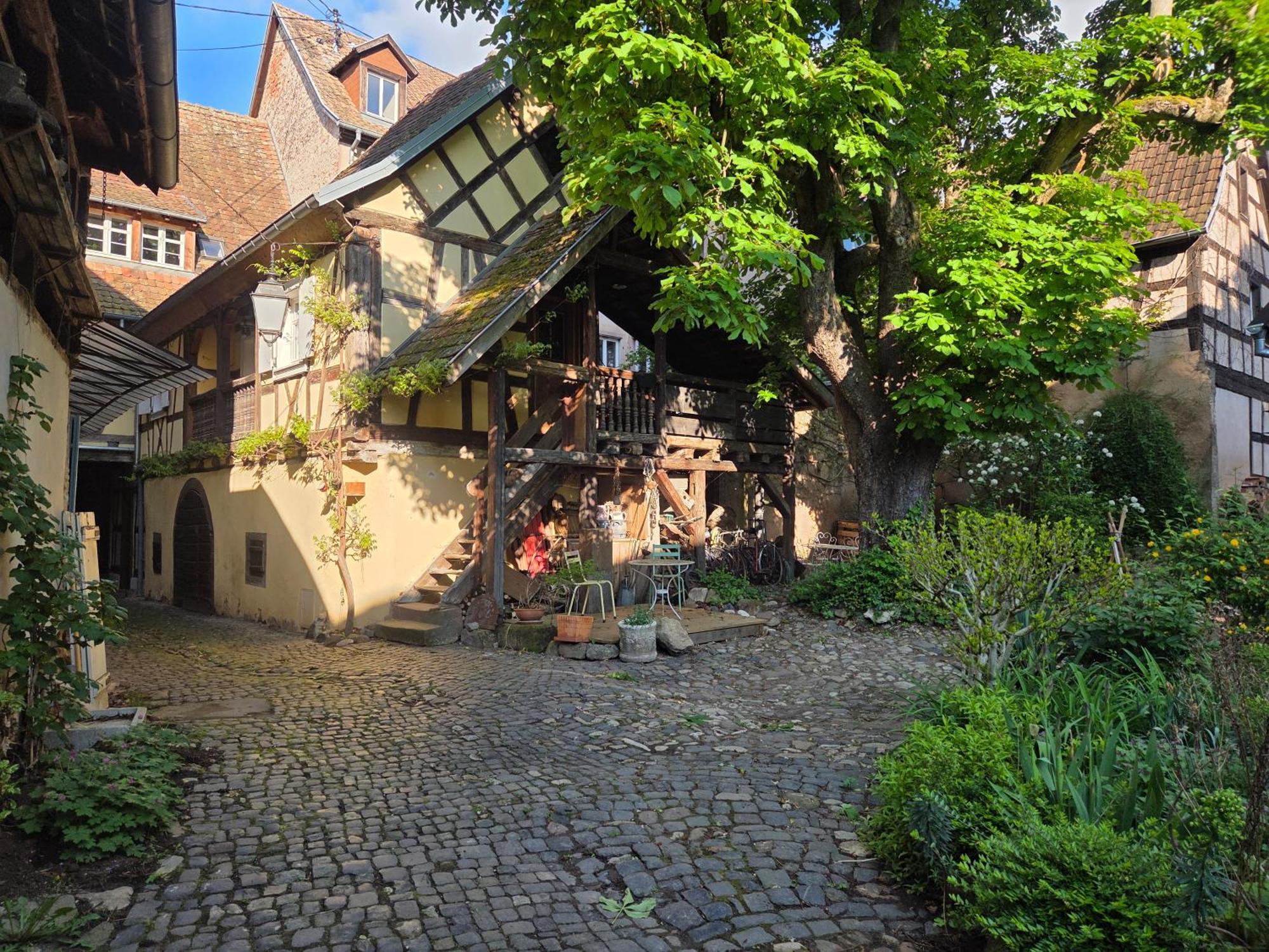 Le Temps Des Cigognes Barr Exterior foto